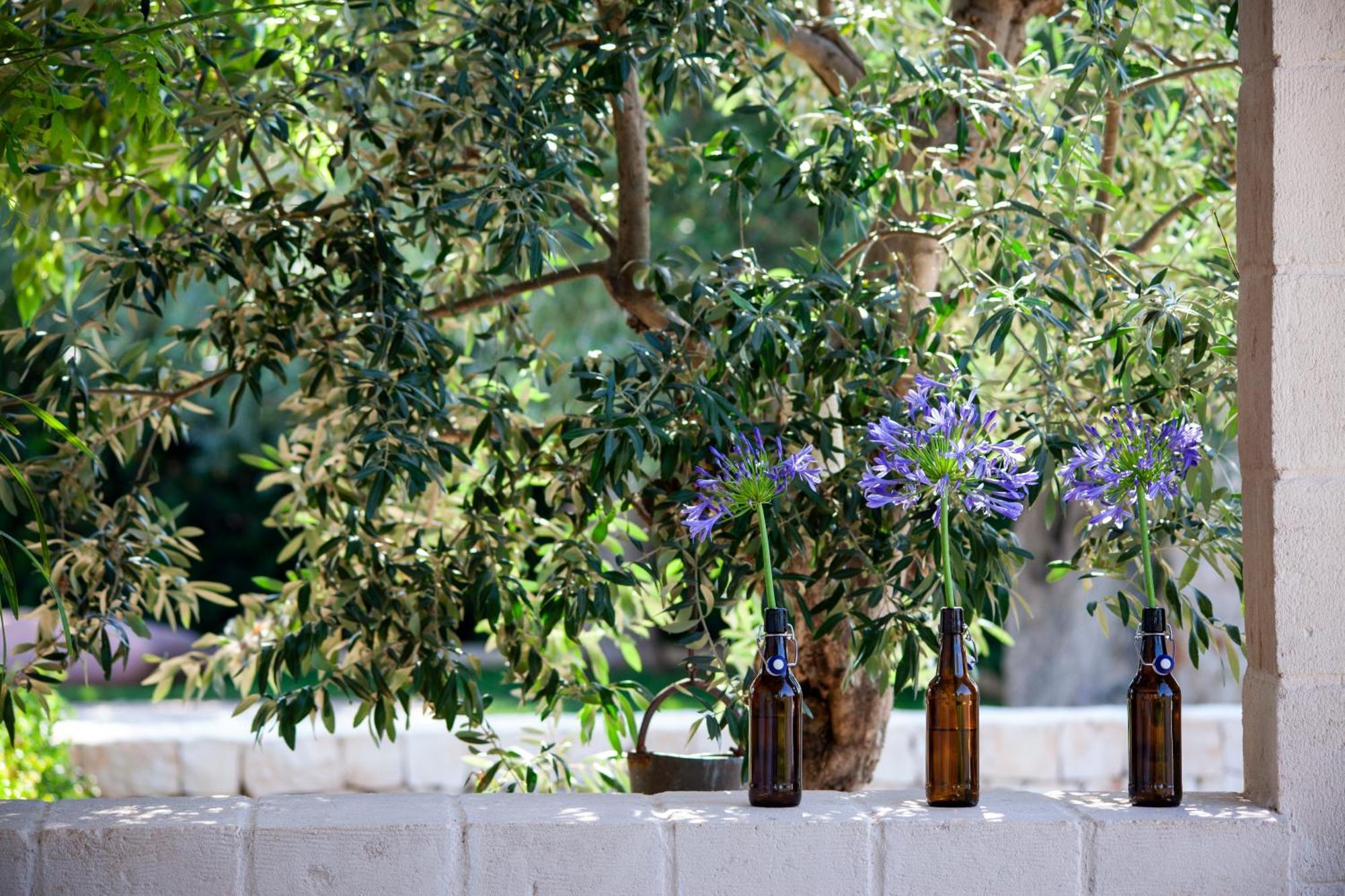 Casa Mia In Puglia Guest House Conversano Ngoại thất bức ảnh