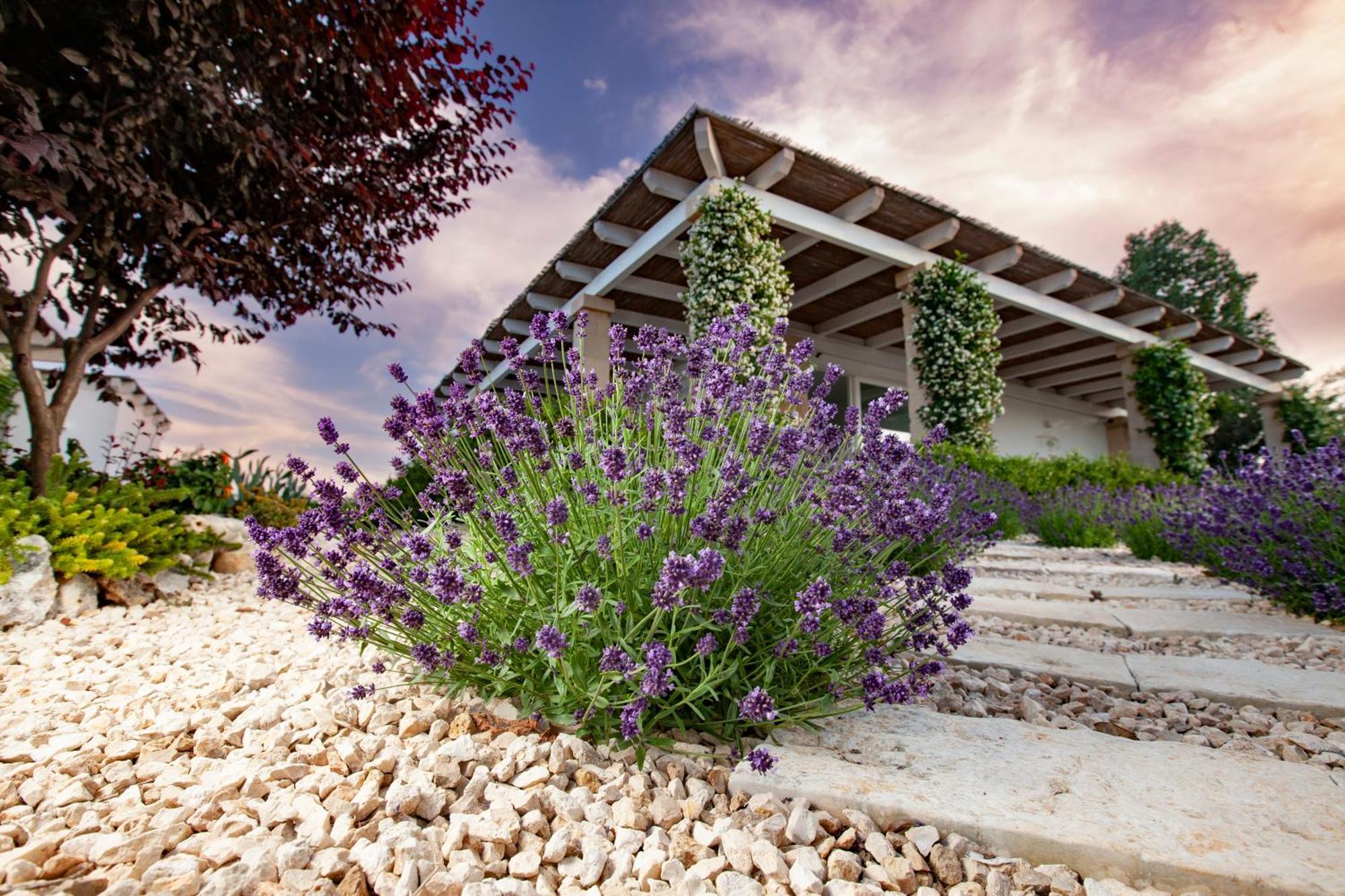 Casa Mia In Puglia Guest House Conversano Ngoại thất bức ảnh